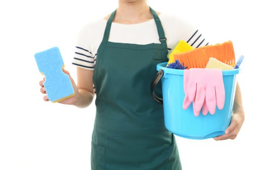 Deep carpet cleaning equipment used in Watford property