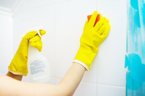 Cleaning supplies used for stain removal on a table