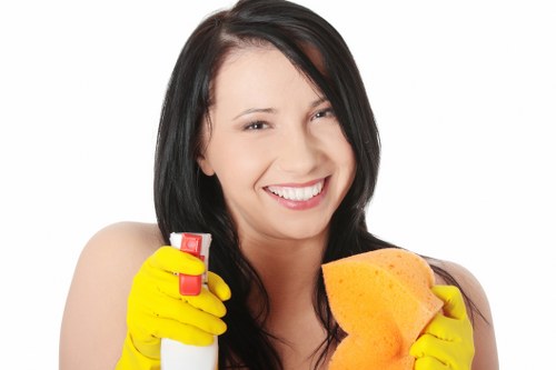 Enzyme cleaner used for pet stain odour removal